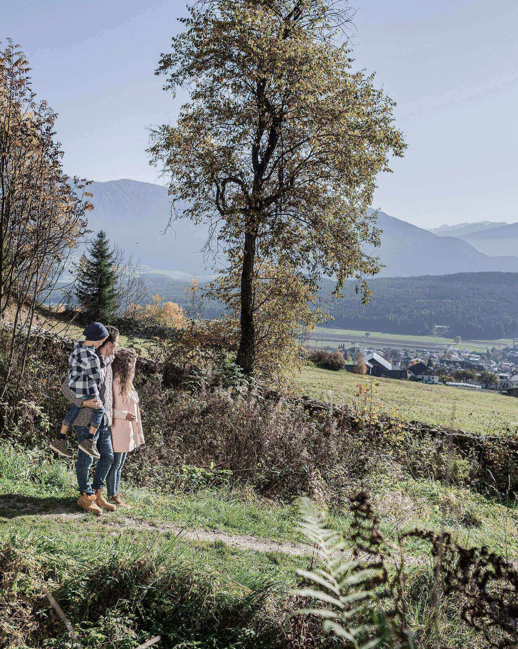 Spazieren in der Natur