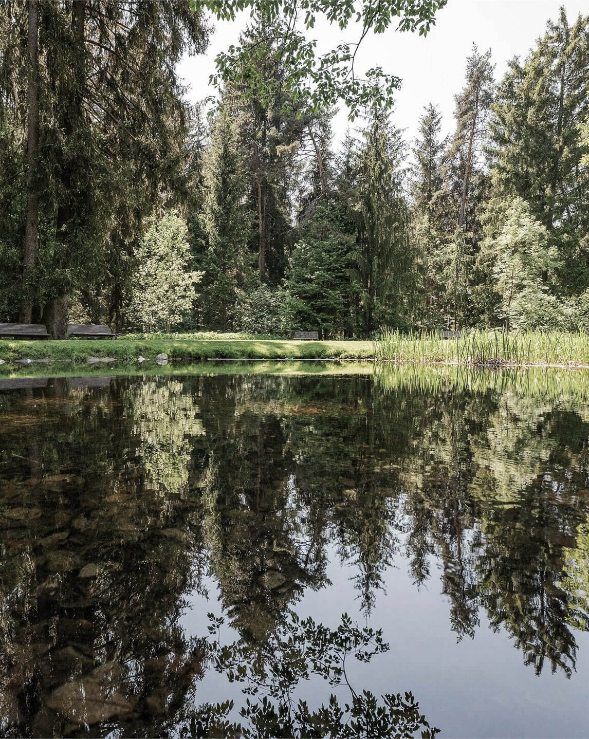 Feel good & relax - 3 Lakes Park - Lake in the middle of the forest - Hofergut